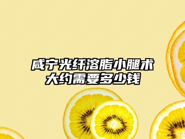 咸宁光纤溶脂小腿术大约需要多少钱