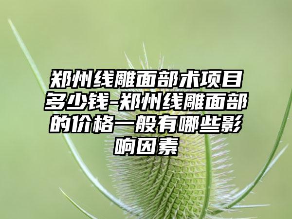 郑州线雕面部术项目多少钱-郑州线雕面部的价格一般有哪些影响因素