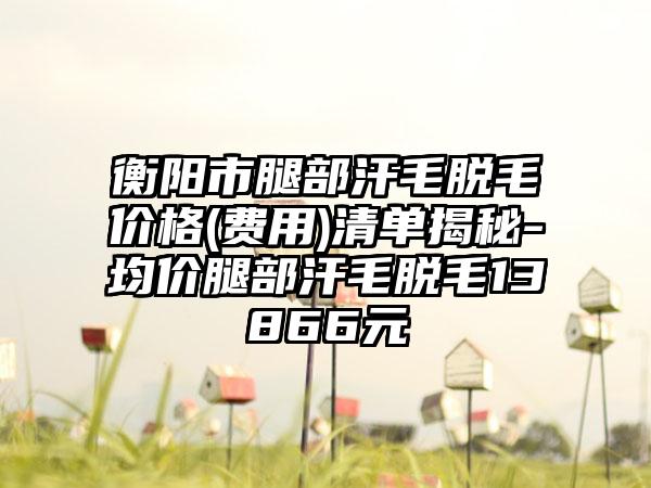 衡阳市腿部汗毛脱毛价格(费用)清单揭秘-均价腿部汗毛脱毛13866元