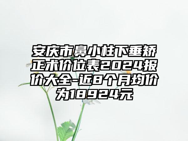 安庆市鼻小柱下垂矫正术价位表2024报价大全-近8个月均价为18924元