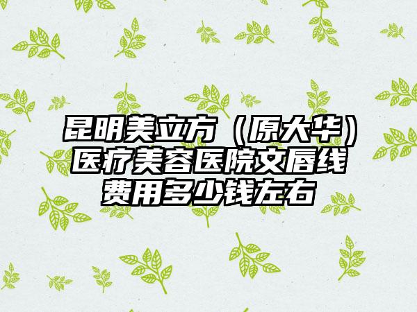 昆明美立方（原大华）医疗美容医院文唇线费用多少钱左右