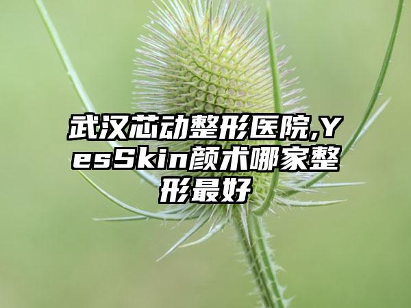 武汉芯动整形医院,YesSkin颜术哪家整形最好