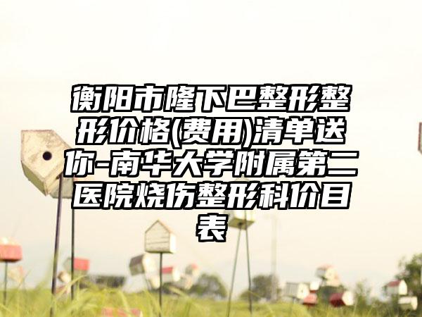 衡阳市隆下巴整形整形价格(费用)清单送你-南华大学附属第二医院烧伤整形科价目表