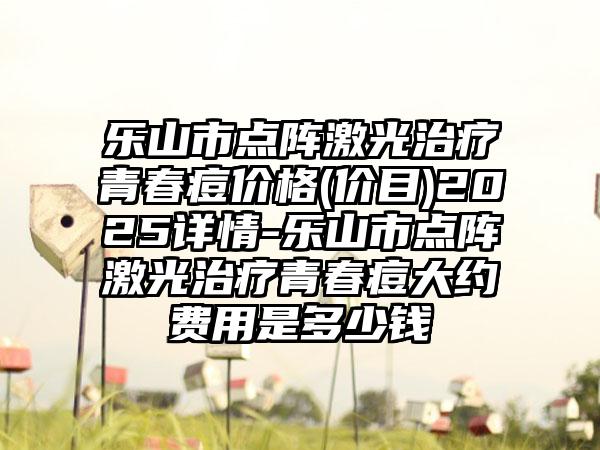 乐山市点阵激光治疗青春痘价格(价目)2025详情-乐山市点阵激光治疗青春痘大约费用是多少钱