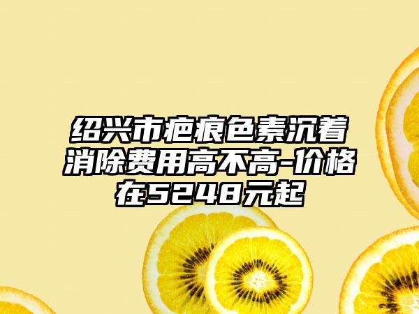 绍兴市疤痕色素沉着消除费用高不高-价格在5248元起