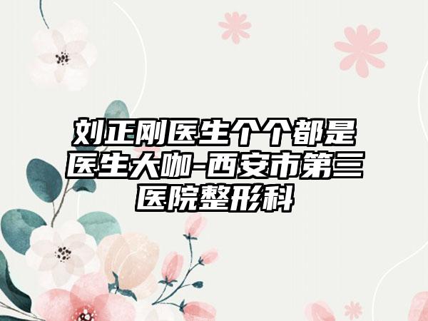 刘正刚医生个个都是医生大咖-西安市第三医院整形科