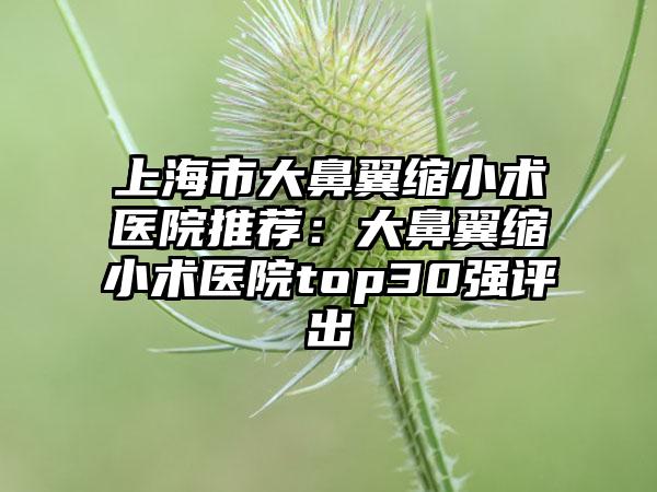 上海市大鼻翼缩小术医院推荐：大鼻翼缩小术医院top30强评出
