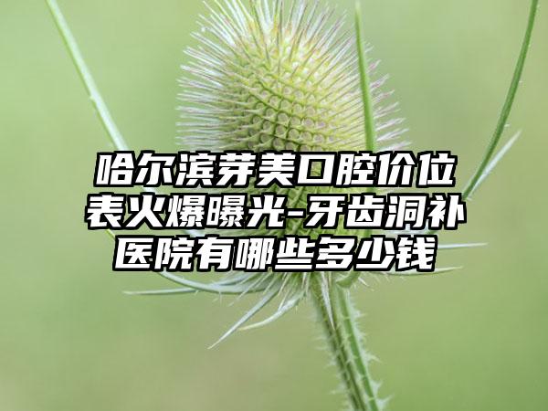 哈尔滨芽美口腔价位表火爆曝光-牙齿洞补医院有哪些多少钱