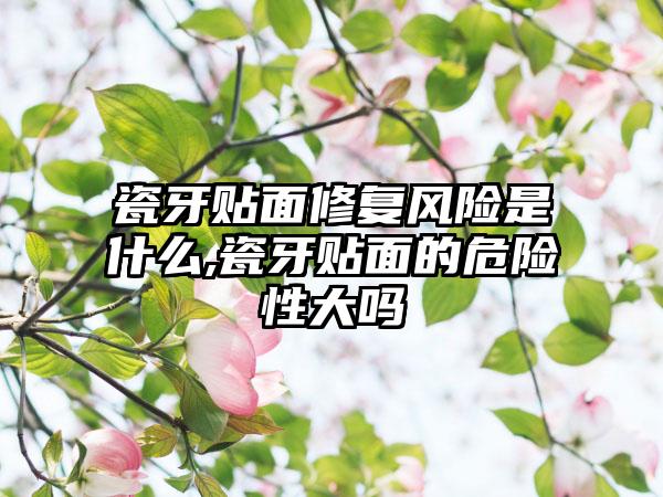 瓷牙贴面修复风险是什么,瓷牙贴面的危险性大吗