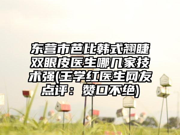 东营市芭比韩式翘睫双眼皮医生哪几家技术强(王学红医生网友点评：赞口不绝)