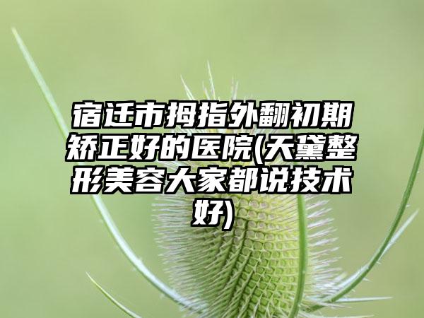 宿迁市拇指外翻初期矫正好的医院(天黛整形美容大家都说技术好)