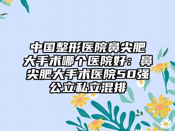 中国整形医院鼻尖肥大手术哪个医院好：鼻尖肥大手术医院50强公立私立混排