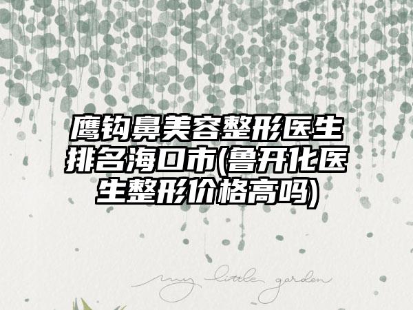 鹰钩鼻美容整形医生排名海口市(鲁开化医生整形价格高吗)