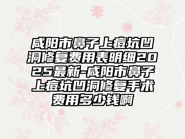 咸阳市鼻子上痘坑凹洞修复费用表明细2025最新-咸阳市鼻子上痘坑凹洞修复手术费用多少钱啊