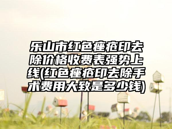 乐山市红色痤疮印去除价格收费表强势上线(红色痤疮印去除手术费用大致是多少钱)