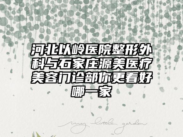 河北以岭医院整形外科与石家庄源美医疗美容门诊部你更看好哪一家