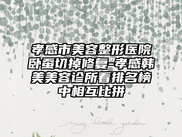 孝感市美容整形医院卧蚕切掉修复-孝感韩美美容诊所看排名榜中相互比拼