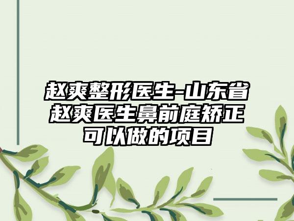 赵爽整形医生-山东省赵爽医生鼻前庭矫正可以做的项目