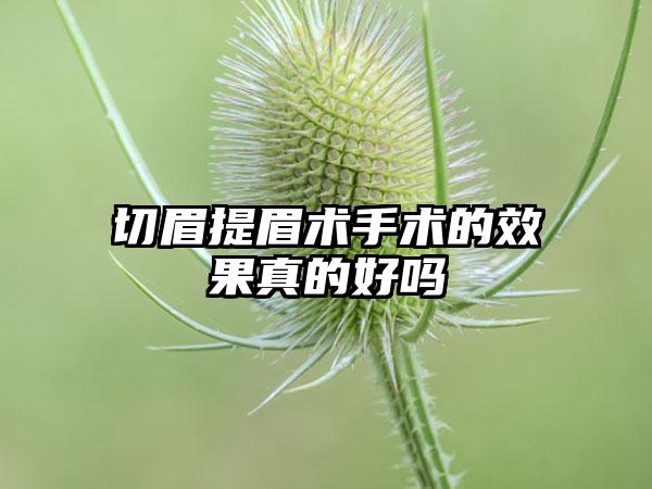 切眉提眉术手术的效果真的好吗