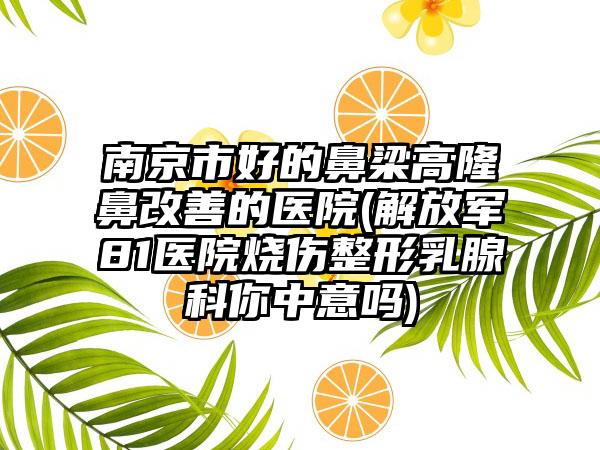 南京市好的鼻梁高隆鼻改善的医院(解放军81医院烧伤整形乳腺科你中意吗)
