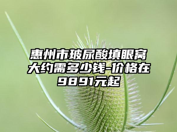 惠州市玻尿酸填眼窝大约需多少钱-价格在9891元起