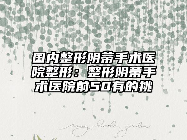 国内整形阴蒂手术医院整形：整形阴蒂手术医院前50有的挑