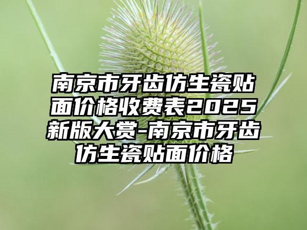 南京市牙齿仿生瓷贴面价格收费表2025新版大赏-南京市牙齿仿生瓷贴面价格