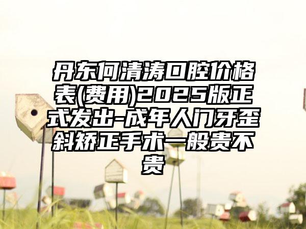 丹东何清涛口腔价格表(费用)2025版正式发出-成年人门牙歪斜矫正手术一般贵不贵