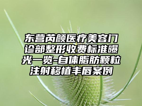 东营芮颜医疗美容门诊部整形收费标准曝光一览-自体脂肪颗粒注射移植丰唇案例