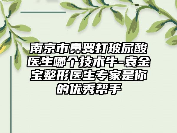 南京市鼻翼打玻尿酸医生哪个技术牛-袁金宝整形医生专家是你的优秀帮手