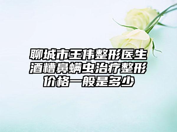 聊城市王伟整形医生酒糟鼻螨虫治疗整形价格一般是多少