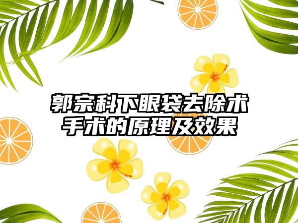 郭宗科下眼袋去除术手术的原理及效果