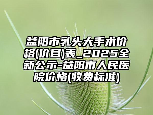 益阳市乳头大手术价格(价目)表_2025全新公示-益阳市人民医院价格(收费标准)