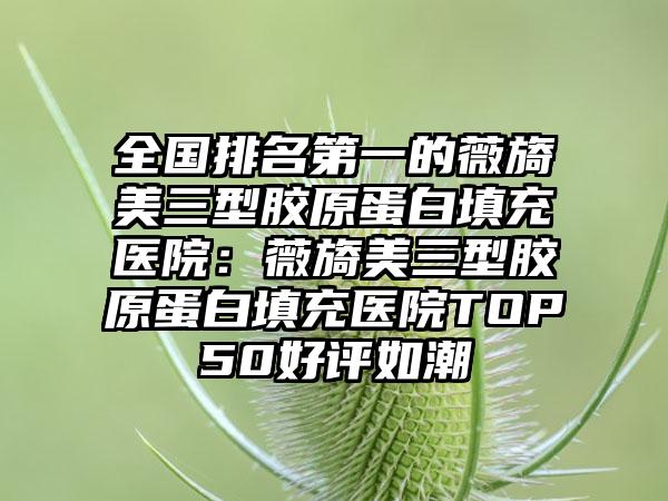 全国排名第一的薇旖美三型胶原蛋白填充医院：薇旖美三型胶原蛋白填充医院TOP50好评如潮