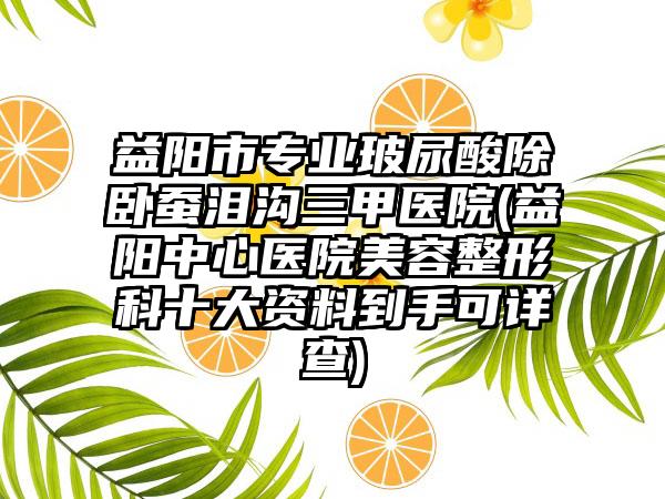 益阳市专业玻尿酸除卧蚕泪沟三甲医院(益阳中心医院美容整形科十大资料到手可详查)