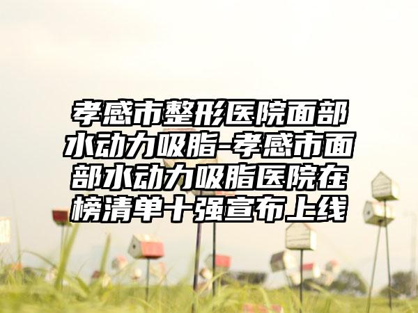 孝感市整形医院面部水动力吸脂-孝感市面部水动力吸脂医院在榜清单十强宣布上线