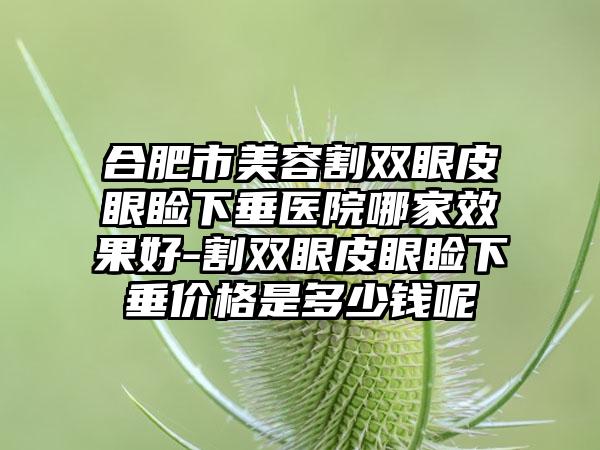 合肥市美容割双眼皮眼睑下垂医院哪家效果好-割双眼皮眼睑下垂价格是多少钱呢