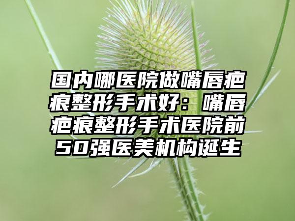 国内哪医院做嘴唇疤痕整形手术好：嘴唇疤痕整形手术医院前50强医美机构诞生