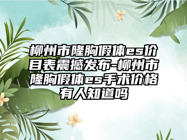 柳州市隆胸假体es价目表震撼发布-柳州市隆胸假体es手术价格有人知道吗