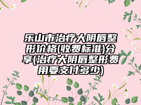 乐山市治疗大阴唇整形价格(收费标准)分享(治疗大阴唇整形费用要支付多少)