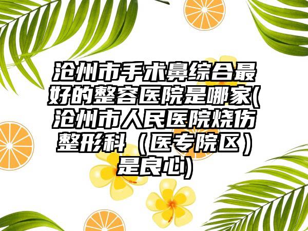 沧州市手术鼻综合最好的整容医院是哪家(沧州市人民医院烧伤整形科（医专院区）是良心)