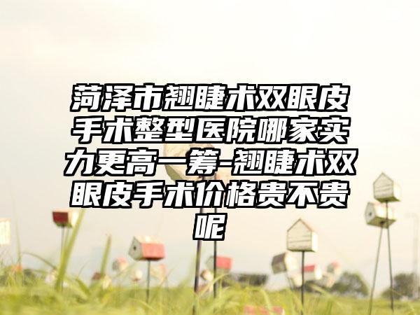 菏泽市翘睫术双眼皮手术整型医院哪家实力更高一筹-翘睫术双眼皮手术价格贵不贵呢