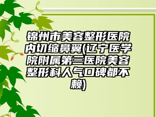 锦州市美容整形医院内切缩鼻翼(辽宁医学院附属第三医院美容整形科人气口碑都不赖)