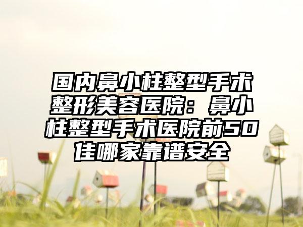 国内鼻小柱整型手术整形美容医院：鼻小柱整型手术医院前50佳哪家靠谱安全