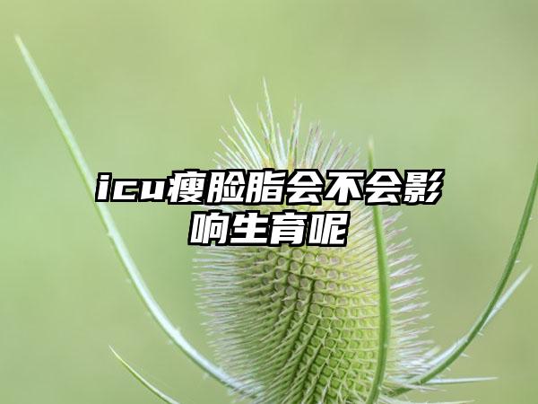 icu瘦脸脂会不会影响生育呢