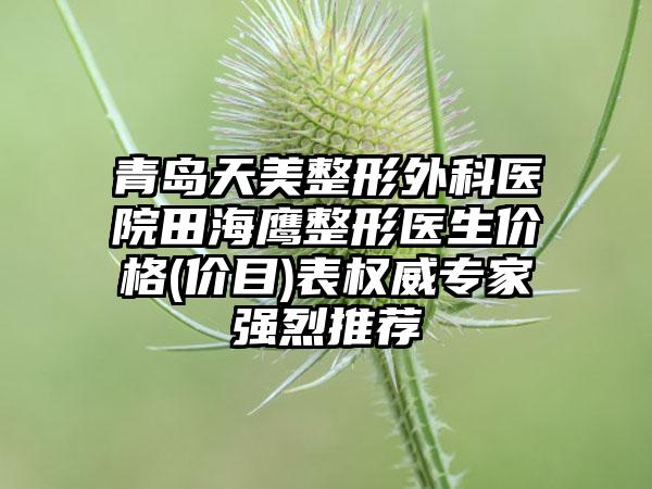 青岛天美整形外科医院田海鹰整形医生价格(价目)表权威专家强烈推荐