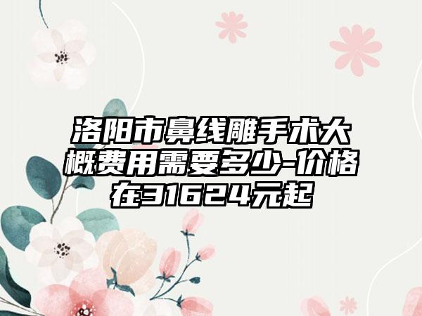 洛阳市鼻线雕手术大概费用需要多少-价格在31624元起