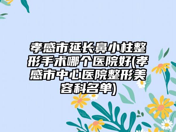 孝感市延长鼻小柱整形手术哪个医院好(孝感市中心医院整形美容科名单)