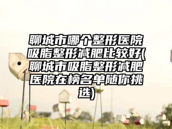 聊城市哪个整形医院吸脂整形减肥比较好(聊城市吸脂整形减肥医院在榜名单随你挑选)