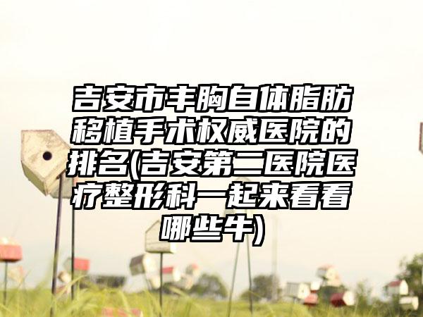 吉安市丰胸自体脂肪移植手术权威医院的排名(吉安第二医院医疗整形科一起来看看哪些牛)
